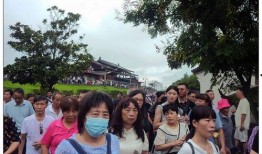 浙江拍在线观看